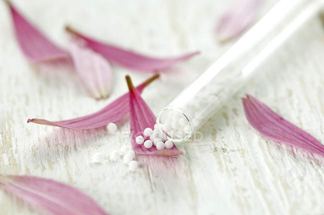 Petali di coneflower viola e tubo di vetro di globuli su legno bianco — Foto stock