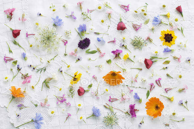 Цветы летних цветов на белой скатерти — стоковое фото
