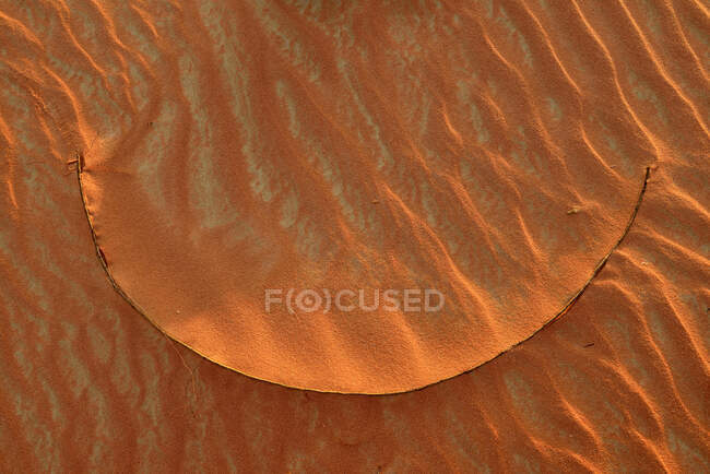 Émirats arabes unis, Rub 'al Khali, sable du désert et marques d'ondulation et lame sèche d'herbe — Photo de stock