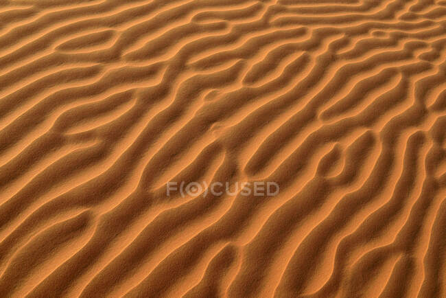 Emirati Arabi Uniti, Rub 'al Khali, sabbia del deserto e segni di ondulazione — Foto stock