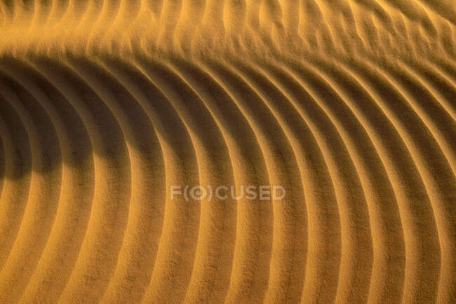 Émirats arabes unis, Rub 'al Khali, sable du désert et marques d'ondulation — Photo de stock