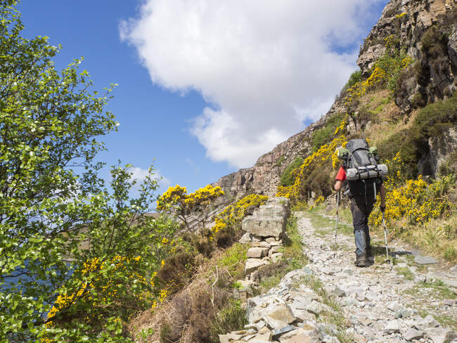 Gran Bretagna, Scozia, Highlands nord-occidentali, escursionista a Loch Gleann Dubh — Foto stock