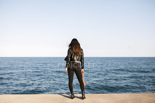 Vista posteriore di una donna bruna alla moda che guarda il mare — Foto stock
