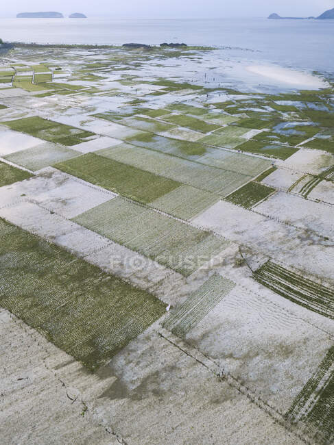 Indonesia, Sumbawa, Kertasari, Veduta aerea della piantagione di alghe marine — Foto stock