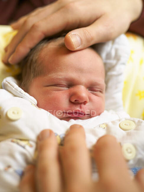 Портрет новонародженої дівчини, руки батька. — стокове фото