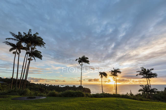 USA, Hawaii, Big Island, Onomea Bay bei Sonnenuntergang — Stockfoto