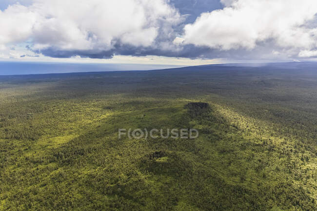 Stati Uniti, Hawaii, Big Island, veduta aerea della riserva forestale di Puna — Foto stock