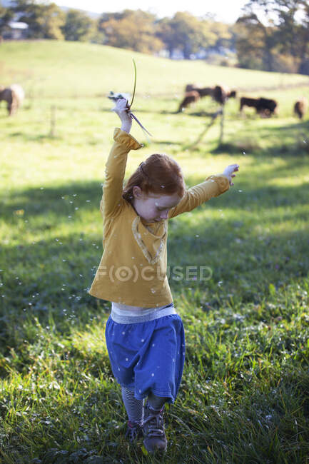 Ragazza dai capelli rossi che balla in campo con pompini — Foto stock