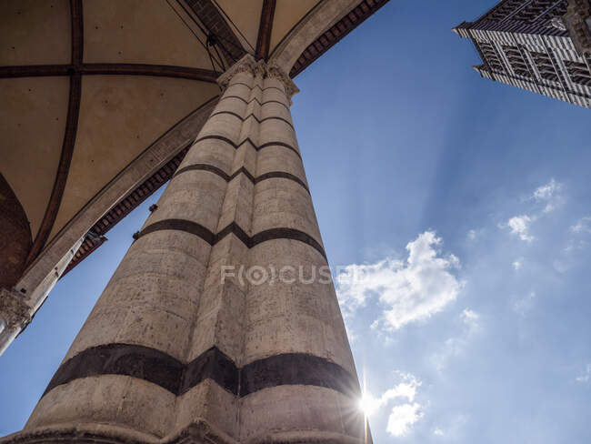 Італія, Тоскана, Сієна, Сієнський собор, вежа і колона проти сонця, вид з низьким кутом зору — Stock Photo