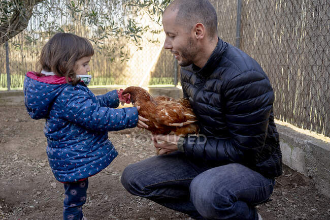 Padre e hija pequeña con pollo en granja de gallinas - foto de stock
