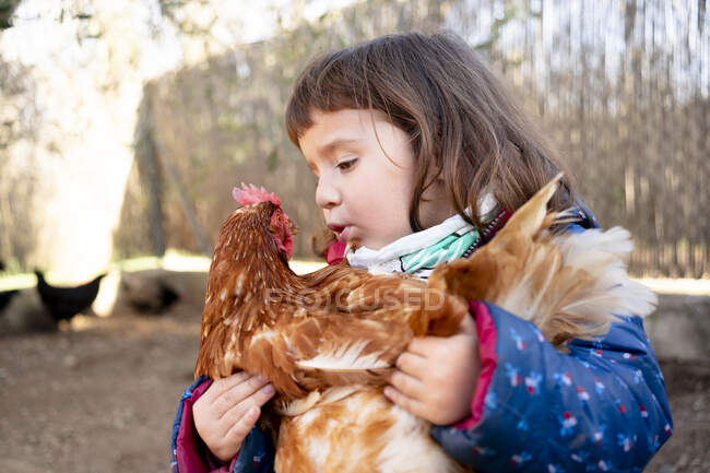 Ragazza bambino che parla con pollo sulle braccia — Foto stock