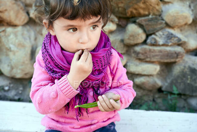 Porträt eines kleinen Mädchens, das frische grüne Erbsen aus der Schote im Garten isst — Stockfoto