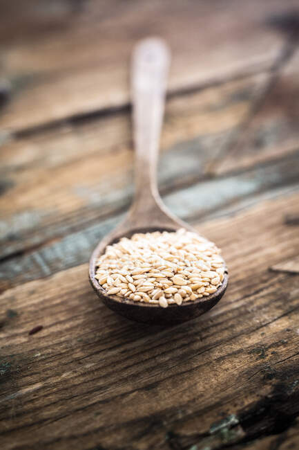 Close up of raw organic uncooked wheat grains on wooden spoon — Stock Photo