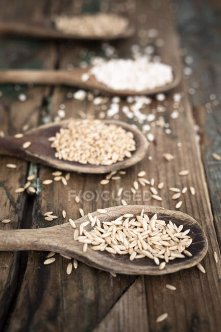 Oats, spelt, barley and buckweath on spoons — Stock Photo