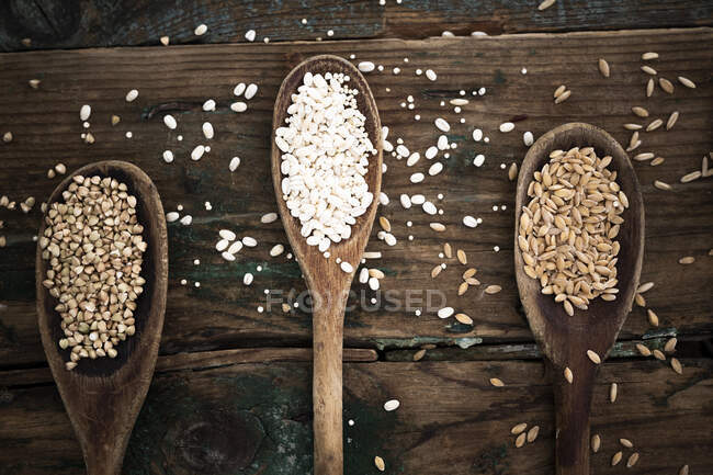 Spelt, barley and buckweath on spoons — Stock Photo