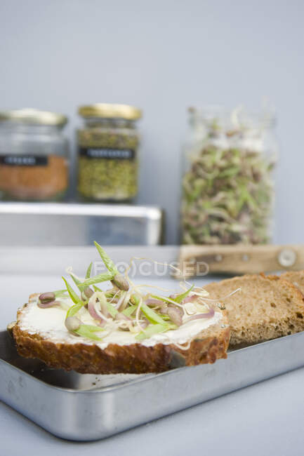 Sandwich de grano con brotes de mungo - foto de stock