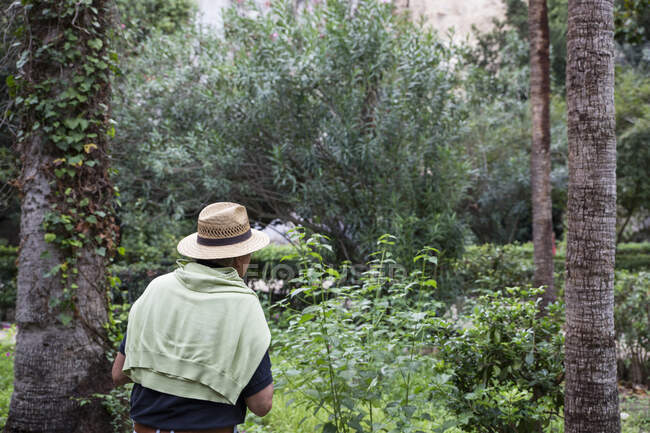 Italia, Sicilia, Siracusa, senior man nel Parco Archeologico della Neapoli — Foto stock