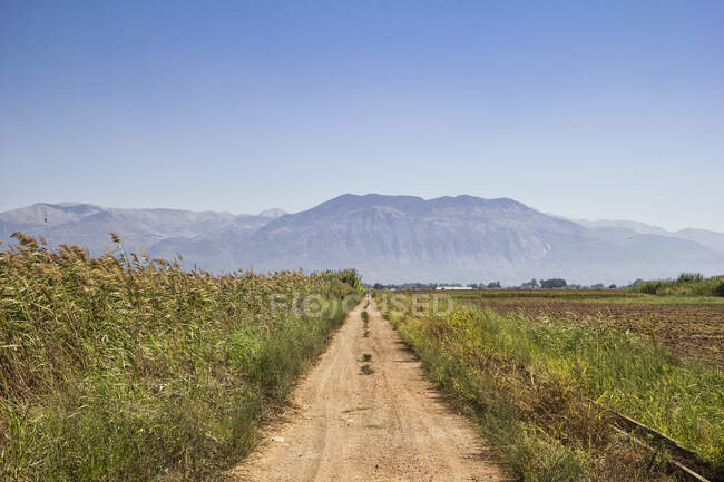 Grecia, Messenia, pista de tierra cerca de Kalamata - foto de stock