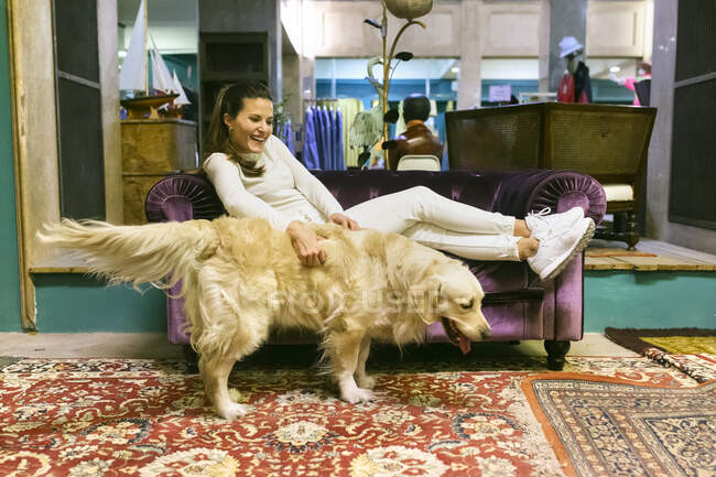Усміхнена жінка з собакою лежить на дивані в вінтажному магазині. — стокове фото