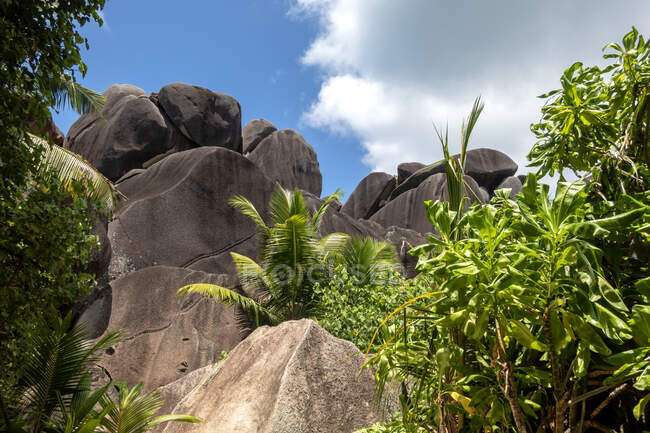 Seychelles, La Digue, Anse Source DArgent, rocce granitiche — Foto stock