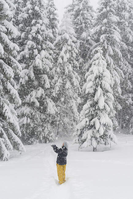 Finlande, Kuopio, femme attrapant des flocons de neige dans la forêt d'hiver — Photo de stock