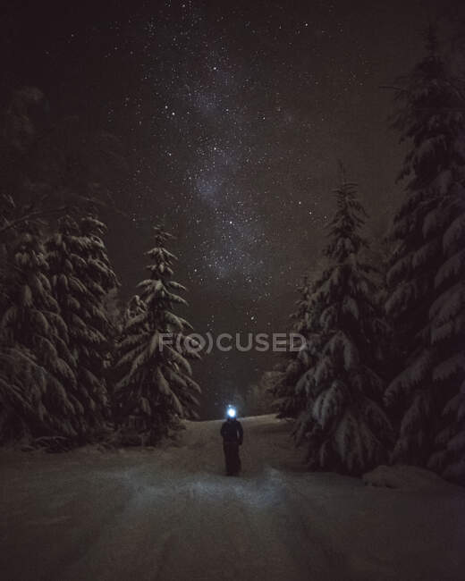 Finland, Kuopio, woman walking under milky way in winter forest — Stock Photo