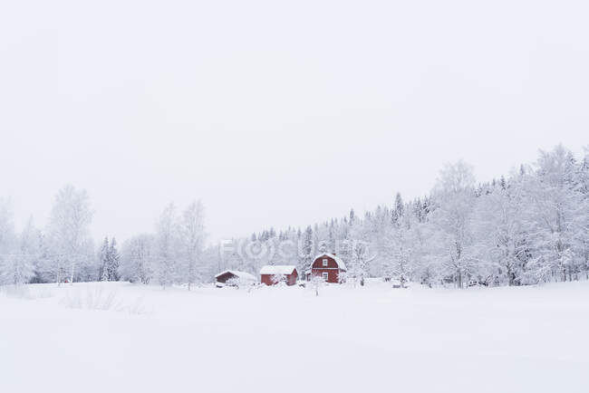 Finnland, Kuopio, Bauernhaus in Winterlandschaft — Stockfoto