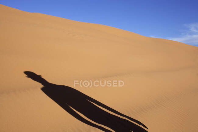 Morocco, Merzouga, Erg Chebbi, shadow of man wearing a bowler hat in desert dune — Stock Photo
