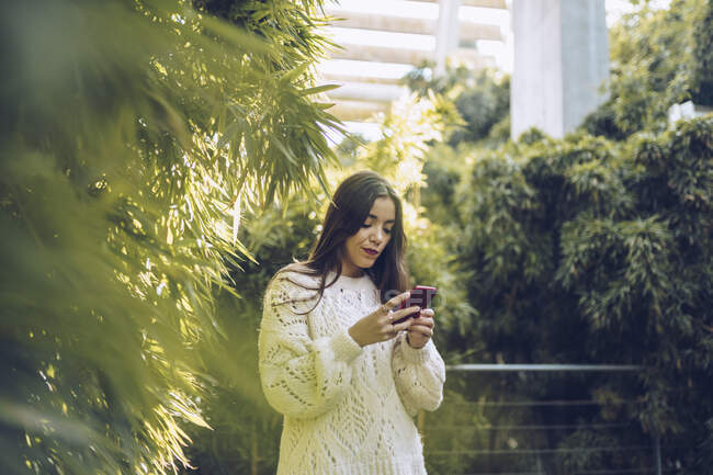 Young woman using cell phone in a park — Stock Photo
