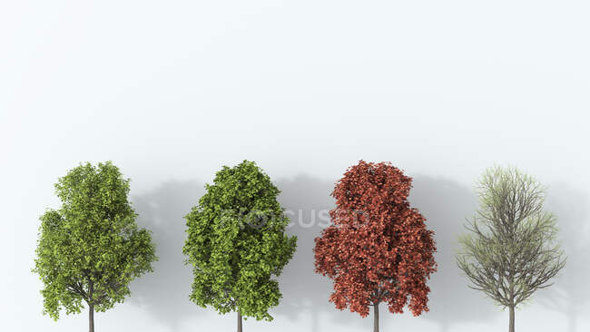 Renderização 3D, Árvore nas quatro estações — Fotografia de Stock