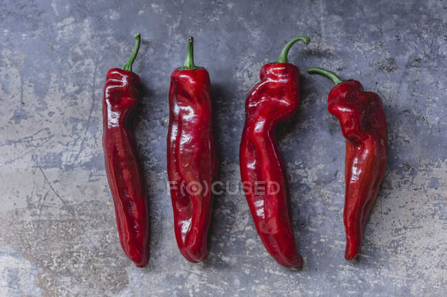 Row of four red pointed peppers — Stock Photo
