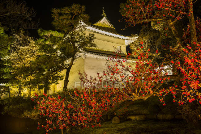 Japan, Kyoto, Blick auf den beleuchteten Kaiserpalast bei Nacht — Stockfoto