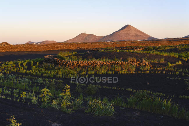 España, Islas Canarias, Lanzarote, Tinajo, Montana Tinache, campos de lava negra - foto de stock
