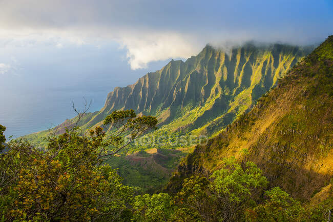 États-Unis, Hawaï, Kalalau belvédère au-dessus de la côte napalaise depuis le parc national Kokee — Photo de stock