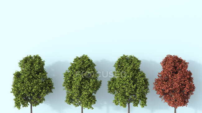 Renderização 3D, fileira de árvores verdes de verão com uma árvore autunal — Fotografia de Stock