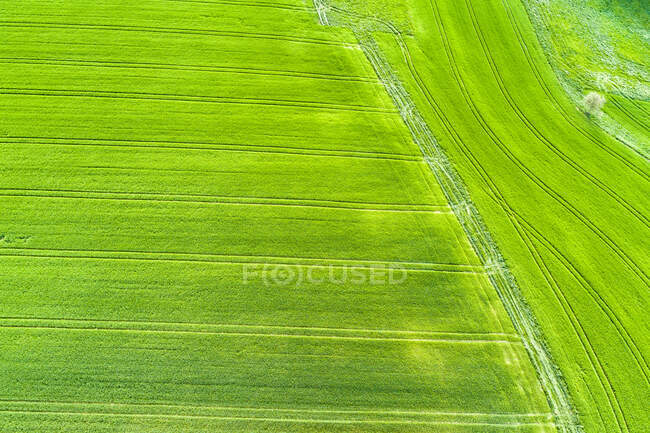 Germania, Baden-Wuerttemberg, Rems-Murr-Kreis, Veduta aerea del campo verde in primavera — Foto stock