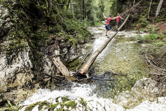 Germania, Baviera, Alta Baviera, lago Walchen, due giovani stanno attraversando un torrente su un tronco d'albero, gemelli — Foto stock