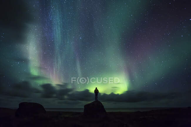 Норвегия, Лофотенские острова, Яйцо, человек, стоящий на скале и смотрящий на северное сияние — стоковое фото