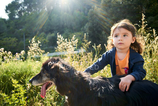 Porträt von Kleinkind Mädchen streichelt Hund — Stockfoto