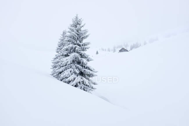 Austria, Estado de Salzburgo, Heutal, Sonntagshorn, paisaje cubierto de nieve - foto de stock