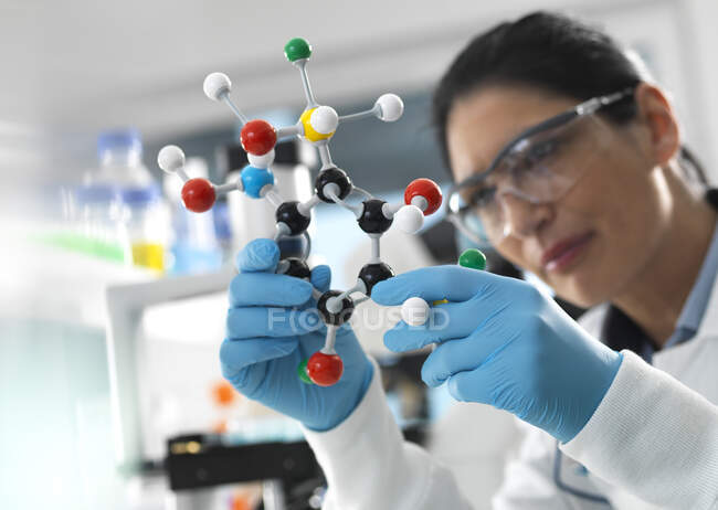 Biotech Research, Científico examinando un modelo molecular de bola y palo de una fórmula química durante un experimento - foto de stock