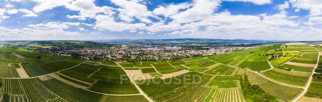 Germania, Renania-Palatinato, Ingelheim, Vista aerea sui vigneti — Foto stock