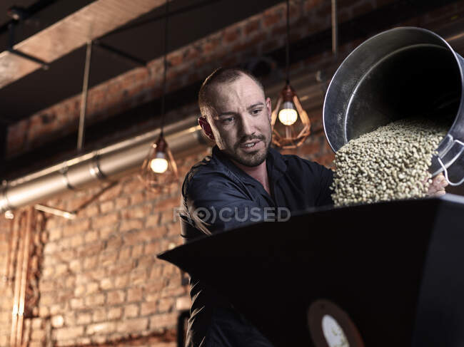 Mann pouring green coffee beans in coffee roaster — Stock Photo