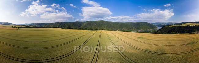 Germany, Rhineland-Palatinate, Bingen region, Henschhausen am Rhein, Panoramic view of grain fields — Stock Photo