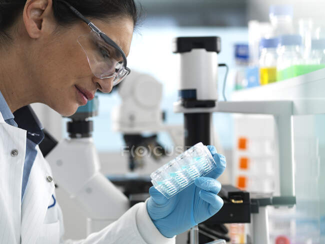 Biotech Research, Campioni di visualizzazione degli scienziati in piastre multi-pozzo pronte per l'analisi durante un esperimento in laboratorio — Foto stock