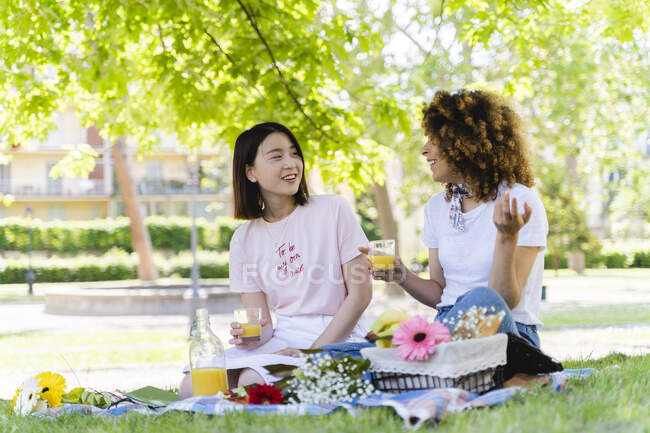 Two happy women having a picnic in park — Stock Photo