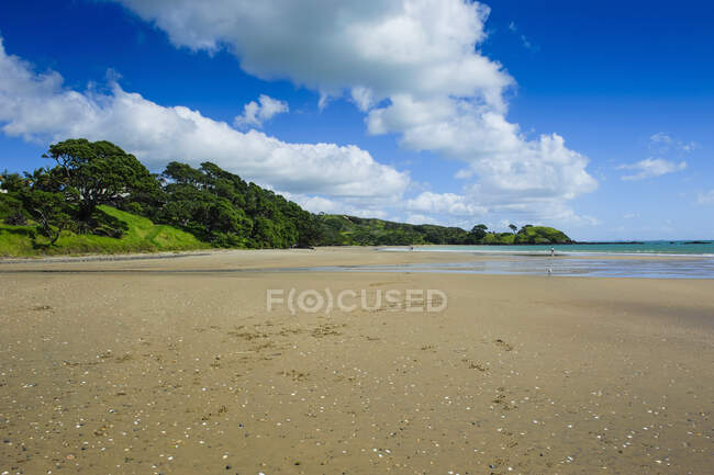Playa de arena larga en Paihia, Bahía de las Islas, Isla Norte, Nueva Zelanda - foto de stock