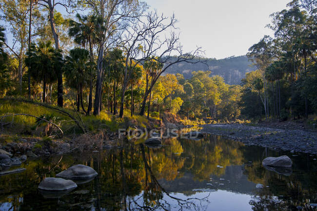 Fluss fließt durch die Carnavaron-Schlucht, Queensland, Australien — Stockfoto