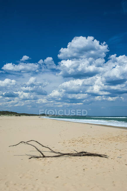 Playa en Cape Conran, Victoria, Australia - foto de stock