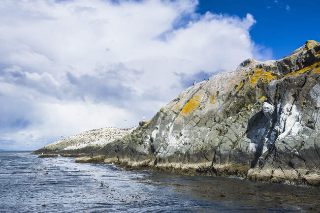 Ilha no canal Beagle, Ushuaia, Tierra del Fuego, Argentina, América do Sul — Fotografia de Stock